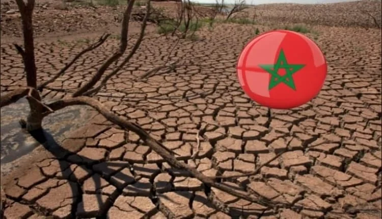 توجس كبير من تكرار سنة جفاف أخرى