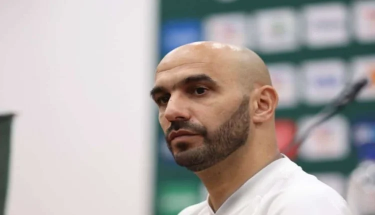 اهتمام وليد الركراكي بنجم جديد يضعه على أعتاب المنتخب المغربي