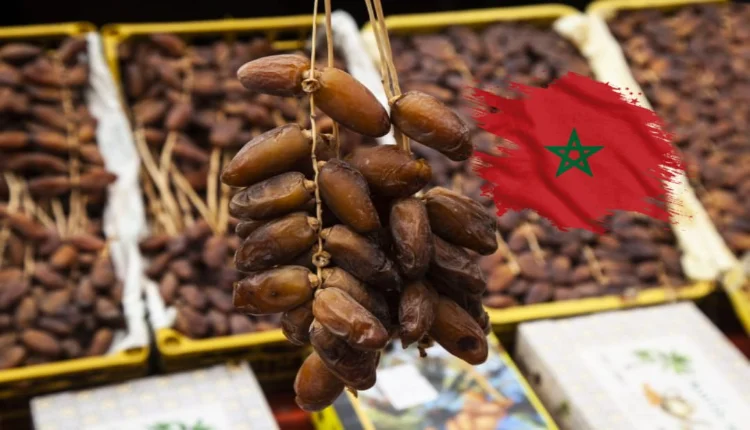 ارتفاع أسعار التمور بالمغرب مع اقتراب رمضان وهذه قائمة الأثمان