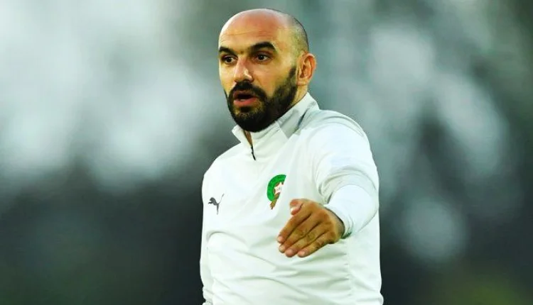 وليد الركراكي سعيد بعودة لاعب للميادين