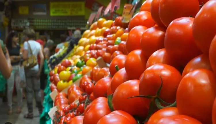 استقرار سوق الطماطم في المغرب رغم التحديات المناخية والاقتصادية