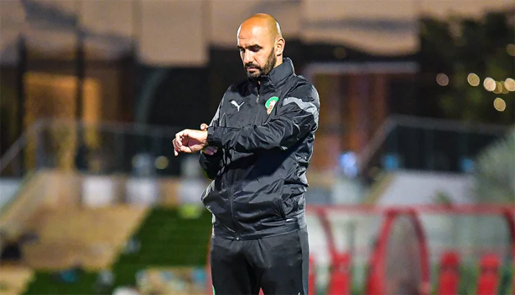 وليد الركراكي