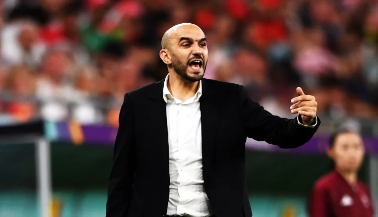 وليد الركراكي مدرب المنتخب المغربي