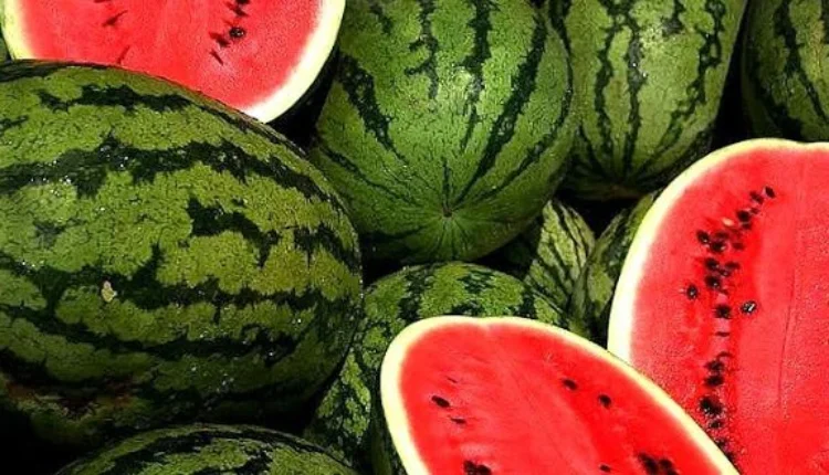 الدلاح