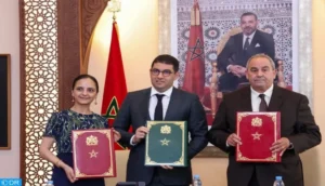 تكوينات جامعية جديدة