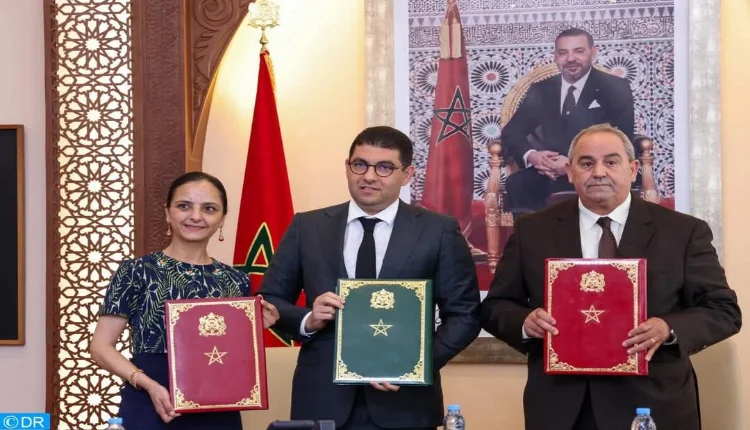 تكوينات جامعية جديدة