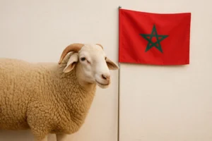 قرارات هامة بخصوص عيد الأضحى