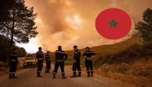 الوكالة الوطنية للمياه والغابات تعلن عن انخفاض المساحات الغابوية المتضررة من الحرائق