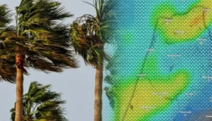 طقس