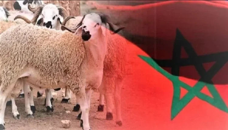 f08a5b9a ac26 450f 8493 4c5f3dadd368