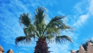 أحوال الطقس