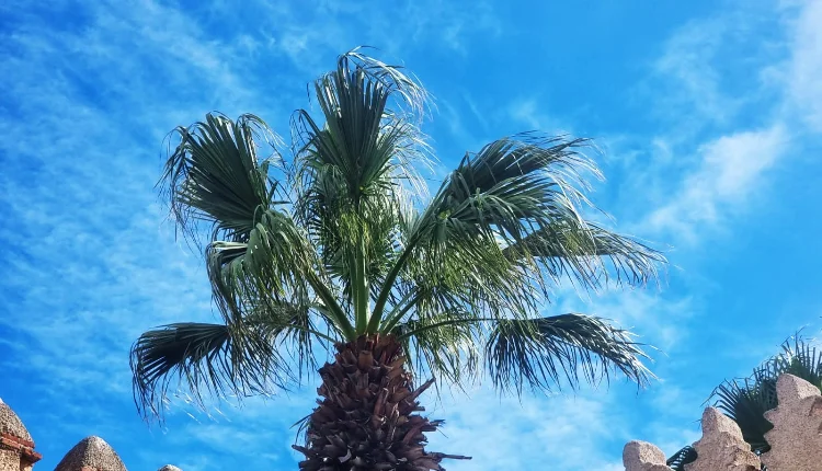 أحوال الطقس