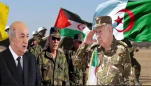 في خطوة كشفت عن وعي دبلوماسي مصري وتيقظ استراتيجي، أعلنت القاهرة انسحابها التام من مناورات "سلام إفريقيا 3"، التي تنظمها الجزائر تحت غطاء لجنة الدفاع التابعة للاتحاد الإفريقي