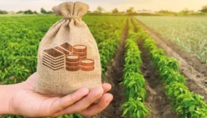 الحكومة تكشف بالأرقام تفاصيل دعم صغار الفلاحين