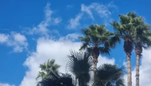 طقس المغرب