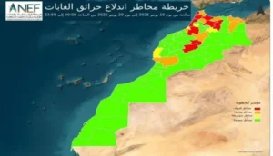موجة الحر.. تحذير من حرائق الغابات بالمغرب