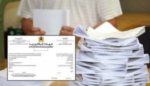 باكالوريا 2025: التلميذة ملاك بركان تتميز بحصولها على أعلى معدل بجهة الشرق