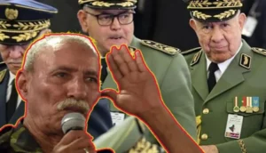 أوامر من شنقريحة اتجاه جبهة البوليساريو الانفصالية