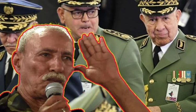 أوامر من شنقريحة اتجاه جبهة البوليساريو الانفصالية