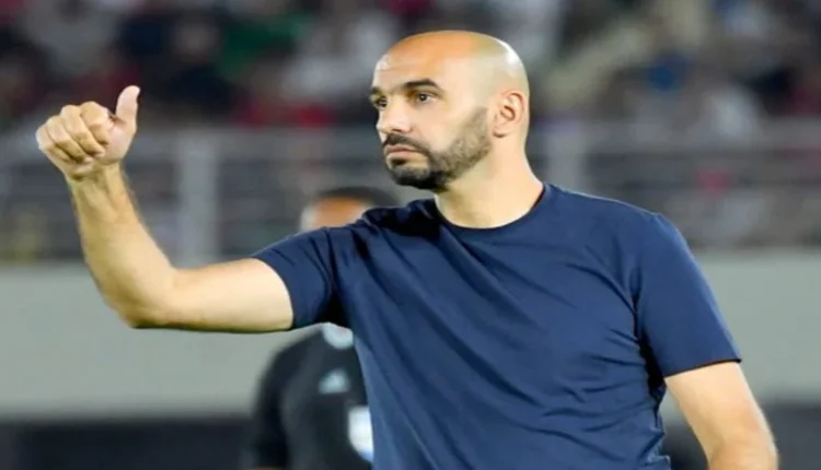 وليد الركراكي