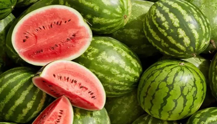 البطيخ في الصيف
