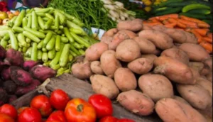 أسعار الخضر
