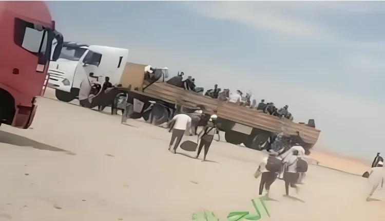 مشاهد محرجة لعناصر من الجيش الجزائري