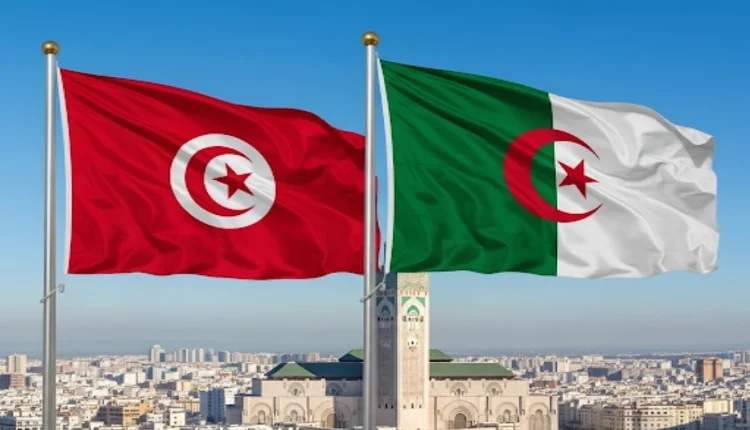 الدار البيضاء تستقبل منتخبي الجزائر وتونس استعدادًا لـ"كان السيدات 2025"