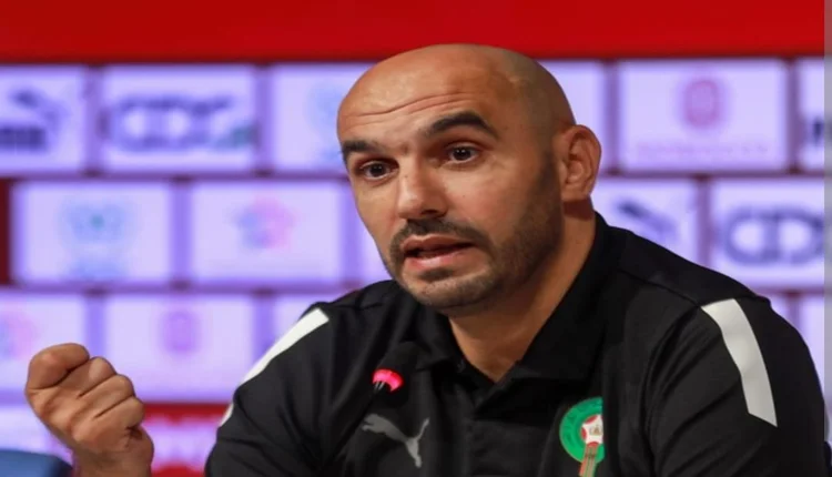 وليد الركراكي