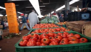 الأمن الغذائي.. المغرب معبأ بالكامل لدعم البلدان النامية