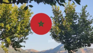 درجات الحرارة