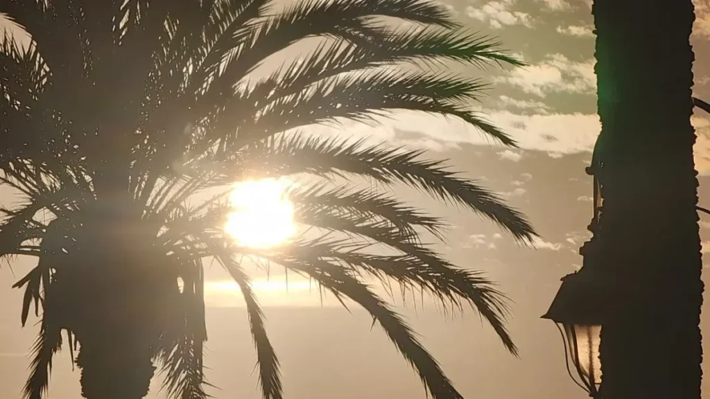 موجة حر مرتقبة بالمغرب مطلع غشت 2025