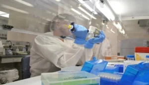 علماء من بريطانيا يتوصلون إلى طريقة جديدة لزراعة خلايا جذعية كبدية