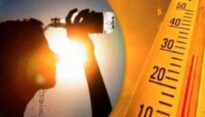 موجة حر.. خبراء يعددون تداعياتها على الصحة العامة والمنتوجات الزراعية