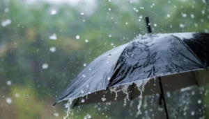 في يونيو، مكسيكو تسجل أعلى معدل تساقطات مطرية منذ 57 عاما