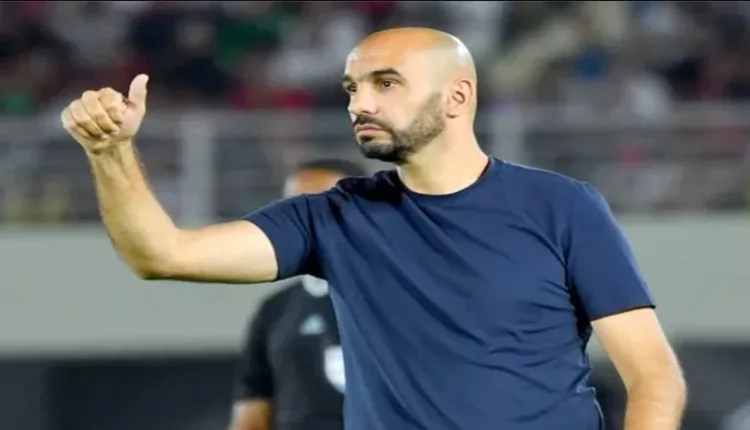 وليد الركراكي