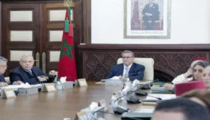مجلس الحكومة يصادق على مشروع قانون يتعلق بحماية الحيوانات الضالة