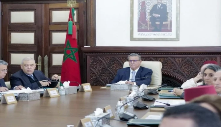 مجلس الحكومة يصادق على مشروع قانون يتعلق بحماية الحيوانات الضالة