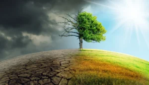 محكمة العدل الدولية تحذر من تهديد التغير المناخي لحياة الإنسان