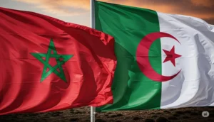 شركات جزائرية تُطلق نداء استغاثة