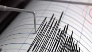 زلزال بقوة 5.6 درجة يضرب جنوب المحيط الهادي