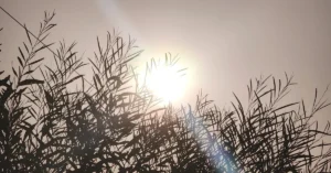 درجات الحرارة بالمغرب ـ تصوير: أنا الخبر