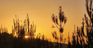 درجات الحرارة في طقس الثلاثاء