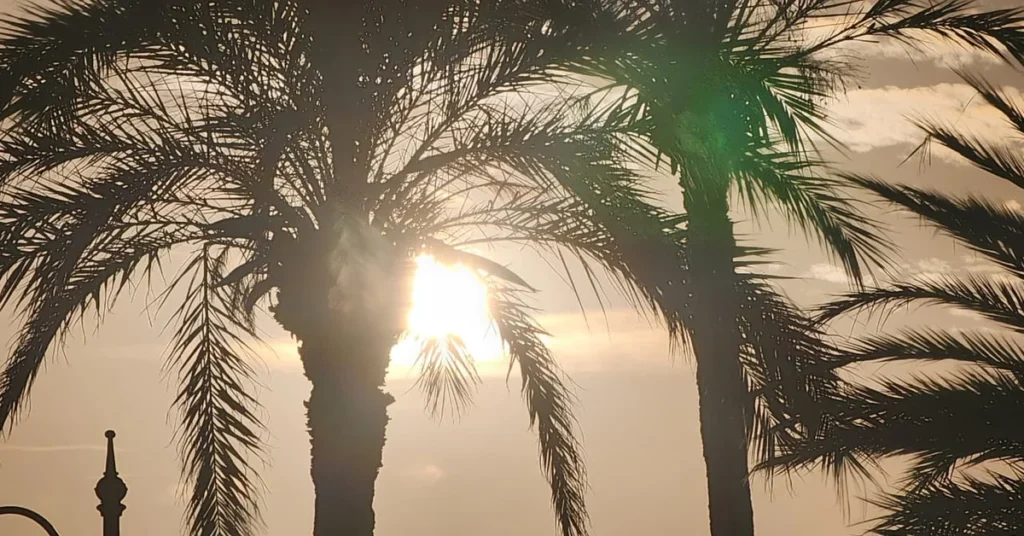 ارتفاع الحرارة بالمغرب