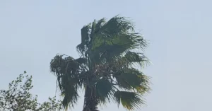 الأرصاد الجوية تعلن عن توقعات الطقس بالمغرب يوم الخميس 13 الأرصاد الجوية تعلن عن توقعات الطقس