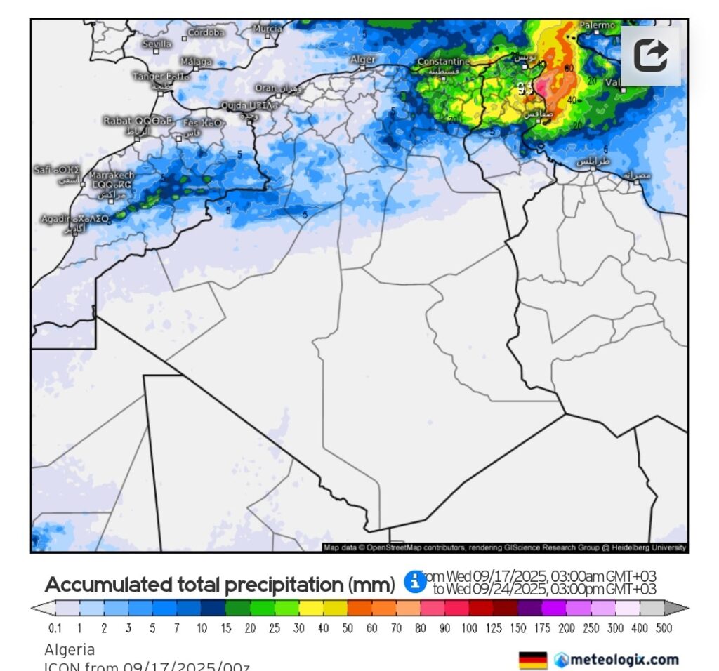 النمودج الألمانتي
