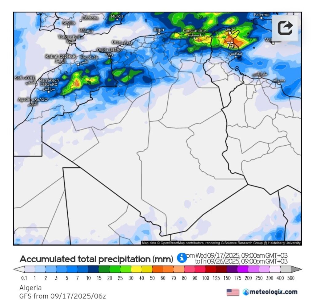 النمودج الأمريكي