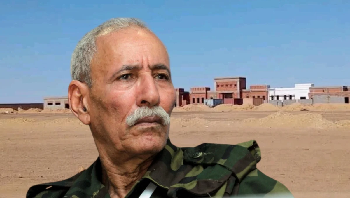 إبراهيم غالي