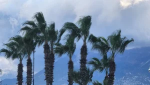 حالة الطقس بالمغرب