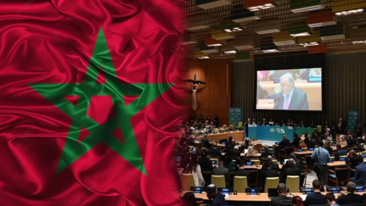 مجلس الأمن وعلم المغرب